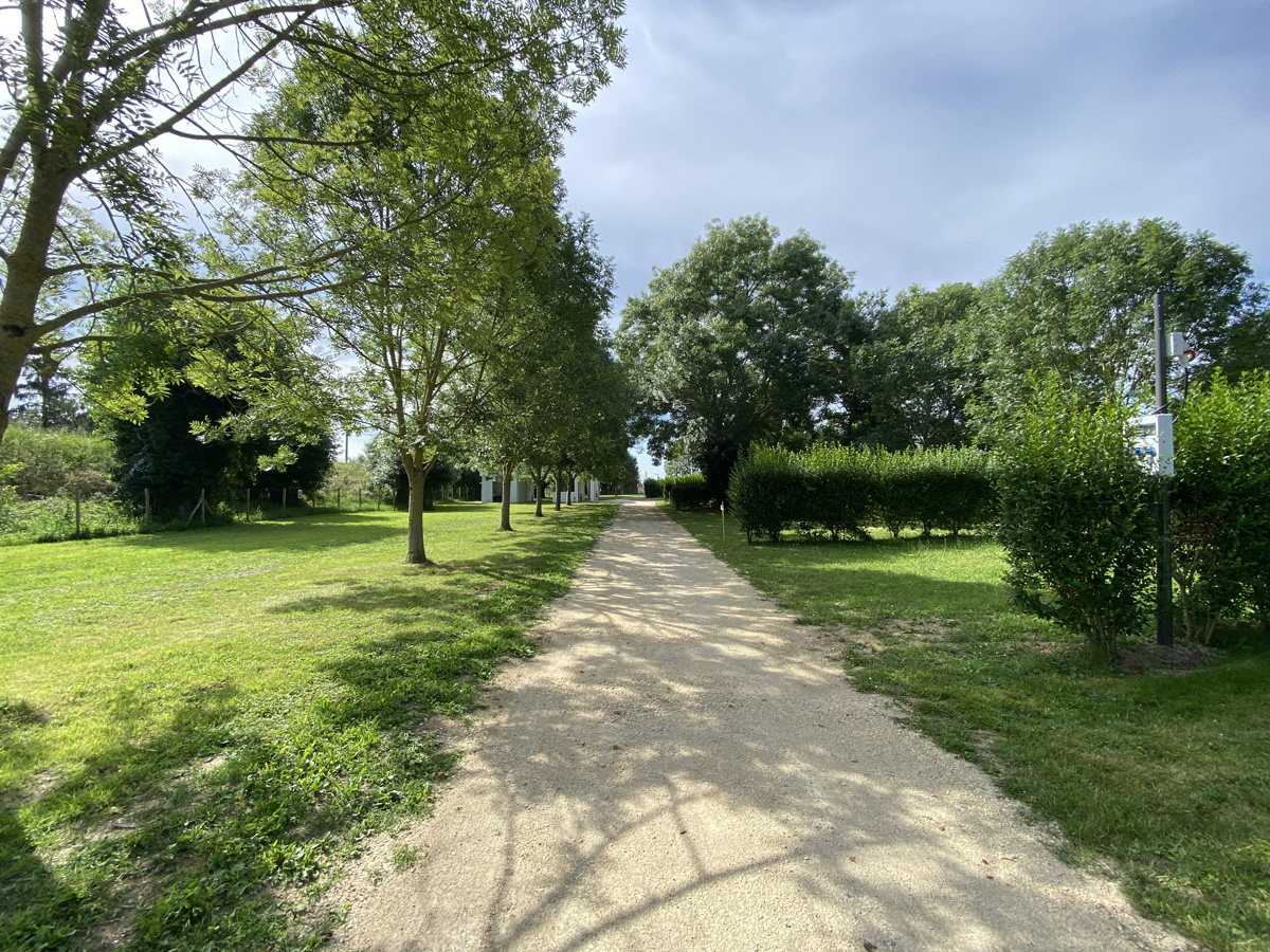 Allée sableuse bordée d’arbres et de haies dans un espace vert du camping