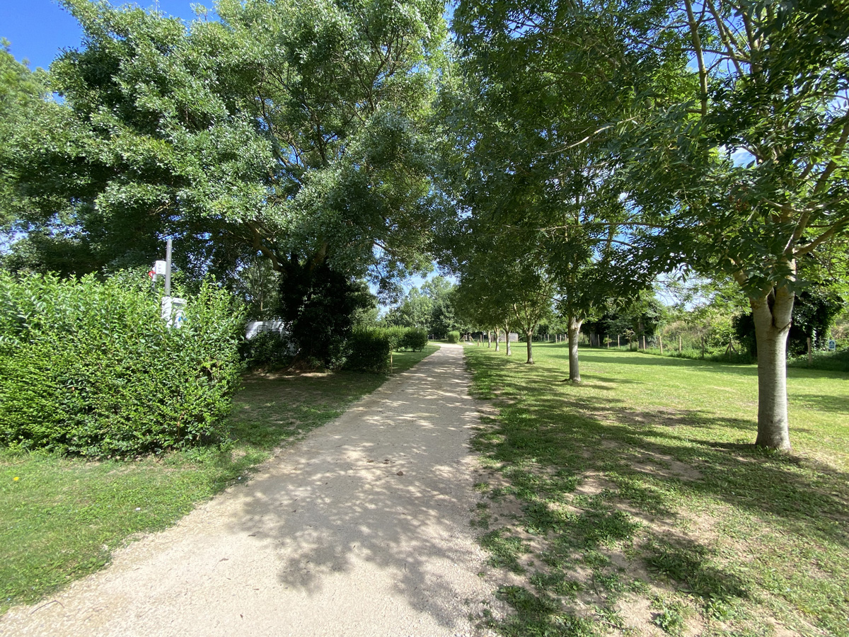 Chemin de terre dans le camping, entouré d’arbres et d’emplacements enherbés
