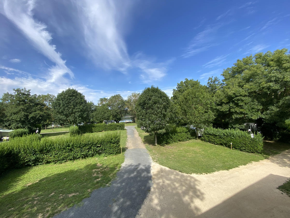 Allée centrale bordée d’emplacements et d’arbres, sous un ciel bleu